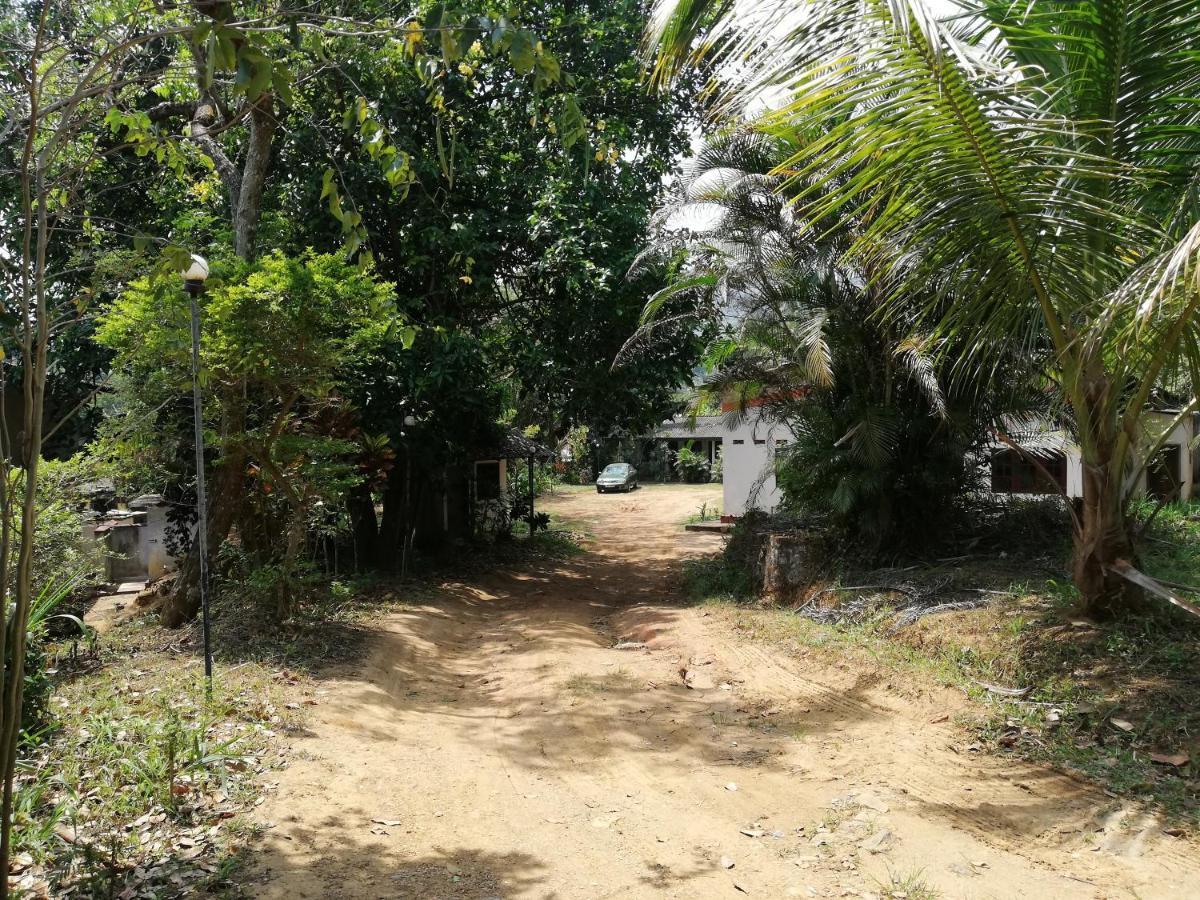 Leaf Guest House 감폴라 외부 사진